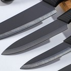 Набор ножей на подставке Magistro Black, 4 предмета: 3 ножа, овощечистка, цвет чёрный - Фото 5