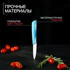 Нож керамический Доляна «Симпл», лезвие 8 см, ручка soft touch, цвет синий - Фото 5