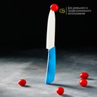 Нож керамический Доляна «Симпл», лезвие 12,5 см, ручка soft touch, цвет синий - фото 4320186