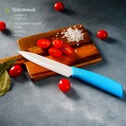 Нож керамический Доляна «Симпл», лезвие 12,5 см, ручка soft touch, цвет синий - фото 4320188