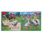 Малышам о животных. Домашние животные - Фото 2