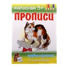 Пропись "Первые Прописи по клеточкам " - Фото 1