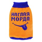 Свитер XL "Наглая морда" (ДС 38-42 см, ОГ 54-60 см) - Фото 1