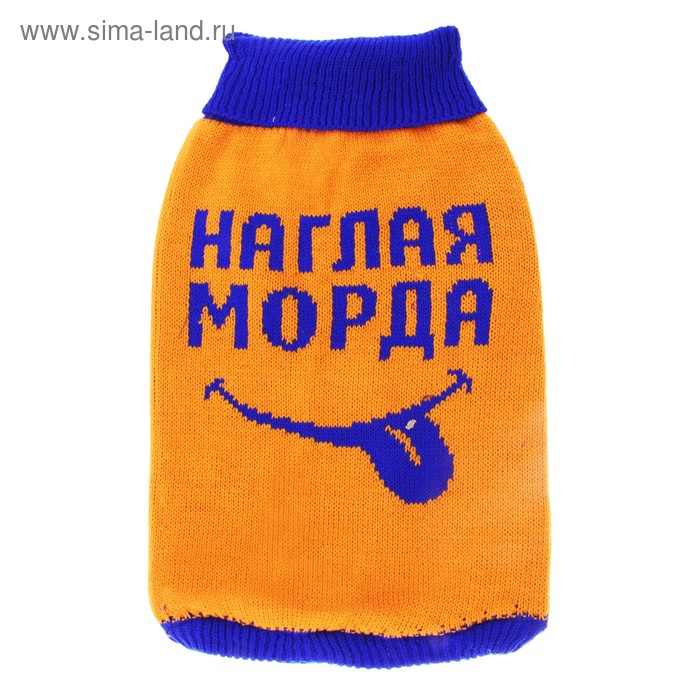 Свитер XL "Наглая морда" (ДС 38-42 см, ОГ 54-60 см) - Фото 1