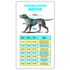 Свитер XL "Наглая морда" (ДС 38-42 см, ОГ 54-60 см) - Фото 3