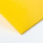 Изолон для творчества жёлтый 2 мм, рулон 0,75х10 м - фото 8500714