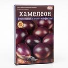 Смеси для окрашивания пищевых продуктов, «Хамелеон», микс - Фото 6