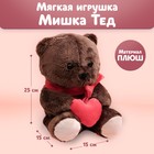 Мягкая игрушка «Ted с сердечком», мишка, 25 см 5279383 - фото 9178610