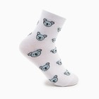 Носки женские «Коала», цвет белый, размер 23-25 - Фото 1