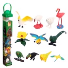 Набор животных «Птицы», 11 фигурок - Фото 4