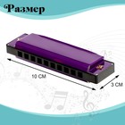 Губная гармошка «Гармоника», с металлическим корпусом и футляром, цвета МИКС - Фото 2