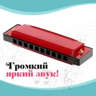 Губная гармошка «Гармоника», с металлическим корпусом и футляром, цвета МИКС - Фото 4