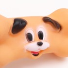 Игрушка пищащая "Веселая косточка" для собак, 16 см - фото 8232185