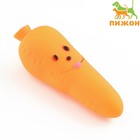 Игрушка пищащая "Морковка" для собак, 12 см, оранжевая - фото 8380757
