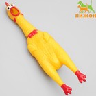 Игрушка пищащая "Задумчивая курица" для собак, 28 см, жёлтая - фото 317837951