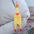 Игрушка пищащая "Задумчивая курица" для собак, 28 см, жёлтая - фото 8232198