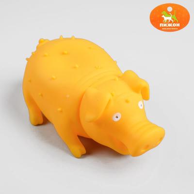 Игрушка резиновая "Веселая свинья" для собак, хрюкающая, 19 см, микс цветов