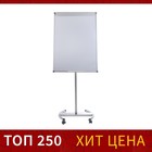Флипчарт мобильный магнитно-маркерный Calligrata СТАНДАРТ, 70×100 см, в алюминиевом профиле, на роликах - Фото 2