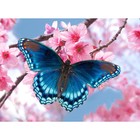 Алмазная мозаика с частичным заполнением на холсте «Бабочка», 15×21 см - Фото 2