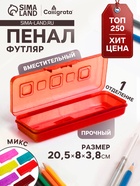 Пенал-футляр Calligrata «Гамма», 80×205×38 мм, пластиковый, непрозрачный, МИКС - Фото 1