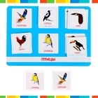 Лото «Мир животных» по методике Г. Домана, 1-4 игрока, 3+ - Фото 7