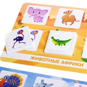 Лото «Кто где живёт», 24 фишки, 1-4 игрока, 3+