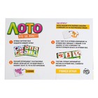 Лото «Кто где живёт», 24 фишки, 1-4 игрока, 3+ - Фото 4