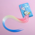 Цветная прядь для волос «Ты чудо!» - фото 6384432