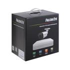 Комплект видеонаблюдения Falcon Eye FE-104MHD KIT Light SMART, 2 уличные камеры, без HDD - Фото 14