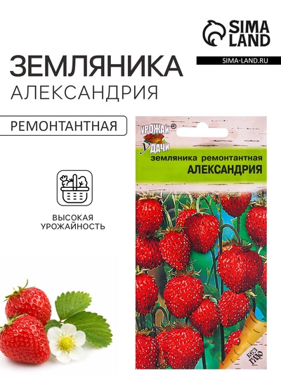 Семена Земляника «Александрия», 0.04 г, ремонтантная, «Урожай удачи»