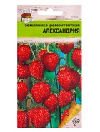 Семена Земляника «Александрия», 0.04 г, ремонтантная, «Урожай удачи» - Фото 5