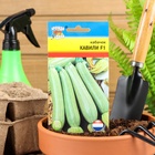 Семена Кабачок «Кавили», F1, 3 шт., «Урожай удачи» - Фото 7