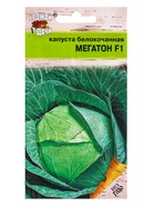 Семена Капуста белокочанная «Мегатон», F1, 0.08 г - Фото 1