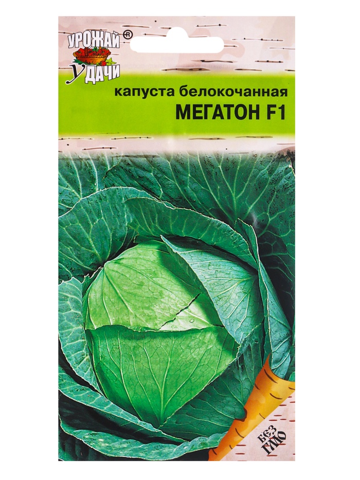 Семена Капуста белокочанная «Мегатон», F1, 0.08 г - Фото 1