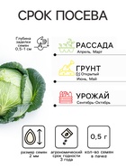 Семена Капуста белокочанная «Сахарная голова», 0.5 г, «Урожай удачи» - Фото 2