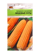 Семена Кукуруза сахарная «Медовые соты»,5 г, «Урожай удачи» - Фото 7