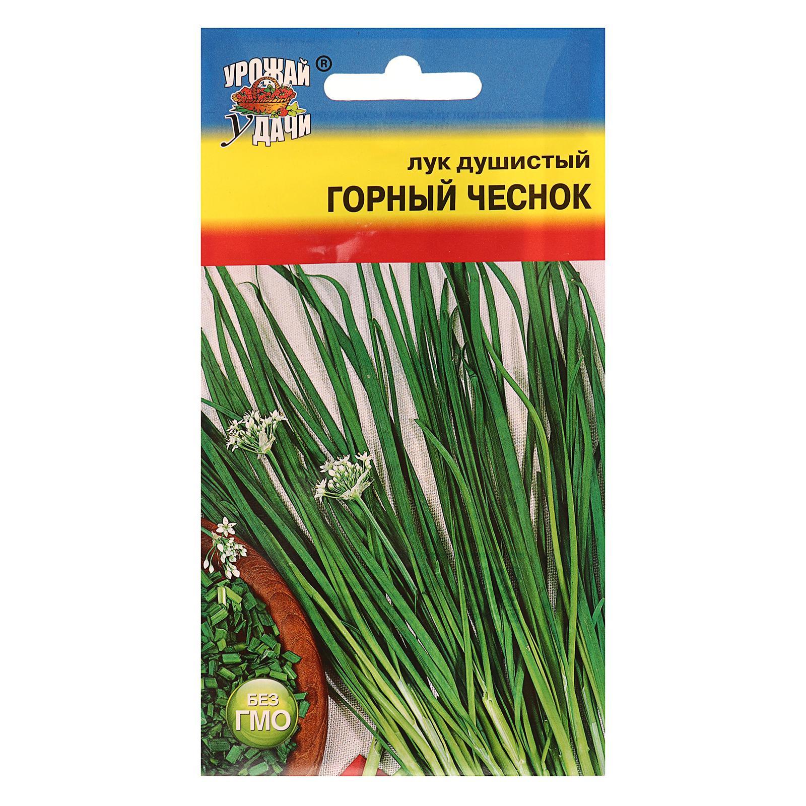 Купить Семена Лука В Краснодаре