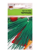 Семена Лук на перо «Чернушка», 0.5 г, «Урожай удачи» - Фото 1