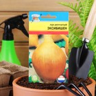 Семена Лук репчатый «Эксибишен», F1, 0.2 г, «Урожай удачи» - Фото 3