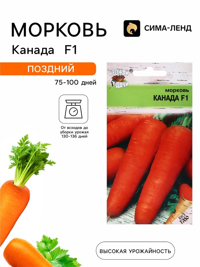 Семена Морковь «Канада», F1, 0.2 г, «Урожай удачи» - Фото 1