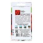 Семена Морковь "Канада" F1,0,2 гр - Фото 2