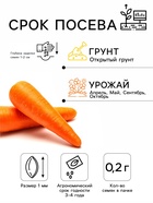 Семена Морковь «Канада», F1, 0.2 г, «Урожай удачи» - Фото 2