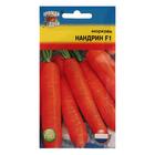 Семена Морковь "Нандрин" F1,0,2 гр - фото 318466363