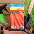 Семена Морковь "Нандрин" F1,0,2 гр - Фото 3