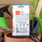 Семена Морковь "Нандрин" F1,0,2 гр - Фото 4