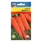 Семена Морковь "Наполи" F1,0,2 гр - Фото 1