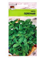 Семена Мята Перечная,0,03 гр - Фото 3