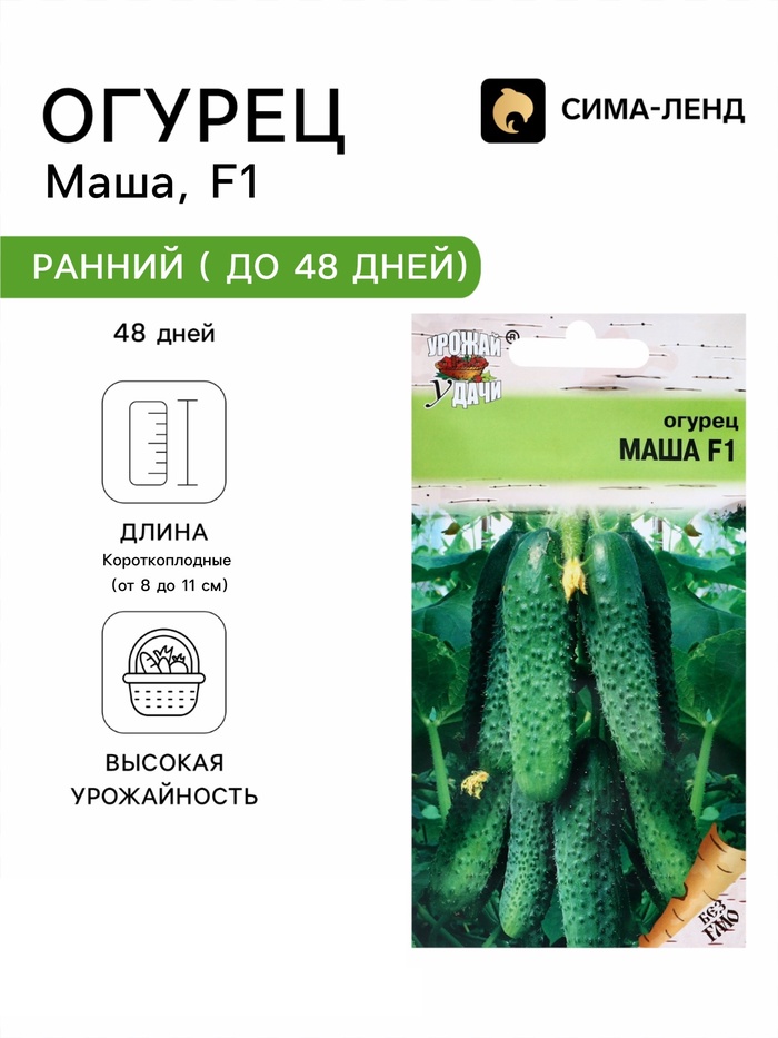 Семена Огурец «Маша», F1, 0.2 г, «УРОЖАЙ УДАЧИ» - Фото 1
