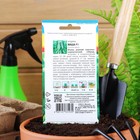 Семена Огурец "Маша" F1, 0,2  г - Фото 4