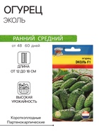 Семена Огурец "Эколь" F1, 0,2 г. - Фото 1